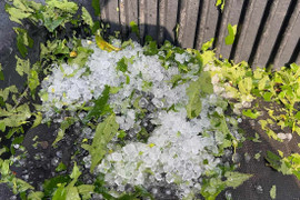 Mưa đá, dông lốc xuất hiện tại Quảng Ninh