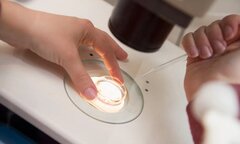 9 năm hiếm muộn, người phụ nữ quyết xin trứng để sinh con năm Rồng