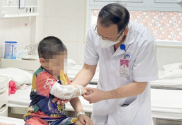 Bé 3 tuổi chấn thương, vỡ thận do bị chó béc-giê tấn công