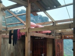 Lốc xoáy, mưa đá làm tốc mái 576 nhà dân ở Cao Bằng