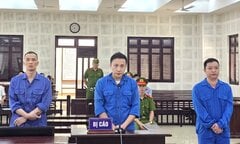 Buôn lậu trăm tấn thuốc Bắc từ Trung Quốc về Đà Nẵng