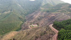 Bắc Giang chỉ đạo xử lý nghiêm đối tượng phá 10ha rừng tự nhiên