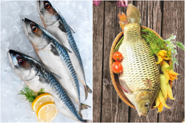 Ăn cá nước mặn hay cá nước ngọt bổ dưỡng hơn?