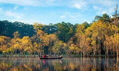 Suối Tía hồ Tuyền Lâm mùa lá vàng đẹp như tranh