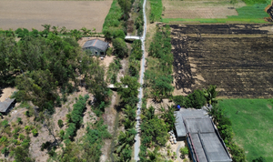 Tỉnh đầu tiên ở miền Tây công bố tình huống khẩn cấp về hạn mặn, thiếu nước