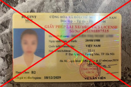 Tài xế điều khiển ô tô sử dụng bằng giả bị phạt bao nhiêu tiền?
