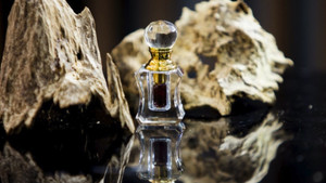 Ra mắt dây chuyền sản xuất sản phẩm trầm hương sinh học đầu tiên ở Bình Phước