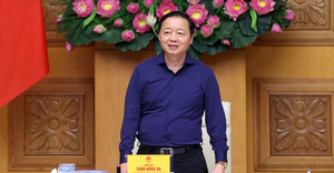 Phó Thủ tướng: Hà Nội nghiên cứu kỹ vấn đề ‘trong thành phố có rừng'