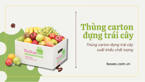 Boxes Việt Nam - Hành trình đưa thùng carton đựng trái cây xuất khẩu ra thế giới