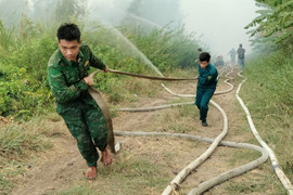 Cháy rừng tràm tại Cà Mau