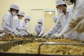 Thủ tướng chỉ đạo tháo gỡ khó khăn cho hoạt động xuất khẩu dược liệu