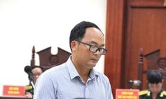 Bác kháng cáo, tuyên y án cựu thiếu tá tông chết nữ sinh lớp 12 ở Ninh Thuận