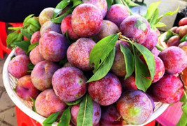 Công dụng chữa bệnh của quả mận bạn nên biết