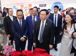 Chủ tịch Quốc hội thăm mô hình kinh tế tiêu biểu của tỉnh Vân Nam, Trung Quốc