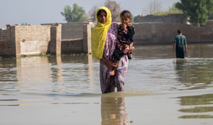 Biến đổi khí hậu đảo ngược tiến bộ y học