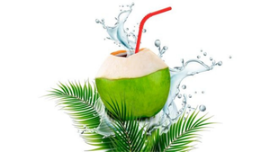 Có nên uống nước dừa thay nước lọc?