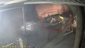 Khoảnh khắc nhân viên gác chắn cứu người đàn ông đang lao vào đoàn tàu