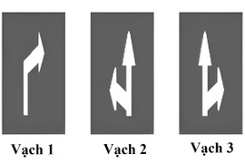 Vạch mũi tên chỉ hướng trên mặt đường nào cho phép xe đi thẳng và rẽ phải?