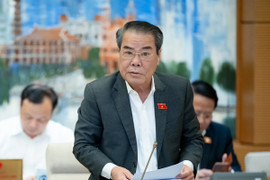 Đề nghị Chính phủ tập trung thanh tra, kiểm tra các doanh nghiệp kinh doanh vàng