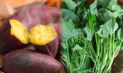 Khoai lang ăn củ hay lá tốt hơn?