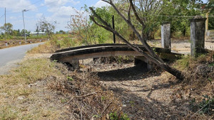 Sau Tiền Giang, Long An công bố xâm nhập mặn là rủi ro thiên tai cấp độ 4