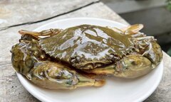 'Vỡ mộng' với cua lột giá 25.000 đồng/con