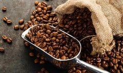 Giá cà phê trong nước liên tục phá kỷ lục, đang cao nhất lịch sử