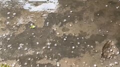 Mưa đá trút xuống trung tâm huyện miền núi ở Quảng Nam