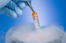 Bố mẹ đưa con gái 17 tuổi đi trữ đông trứng vì lý do đẫm nước mắt