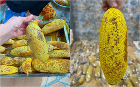 Mật ong ruồi tí hon giá tiền triệu/lít có gì độc lạ?