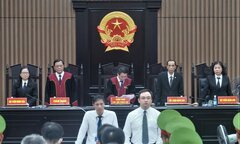 Bị cáo có bao nhiêu ngày để gửi đơn xin ân giảm sau khi bị tuyên tử hình?
