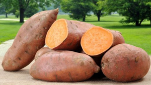 Điều gì xảy ra khi ăn khoai lang trong một tháng?