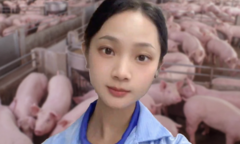 Nữ cử nhân gây sốt mạng khi bỏ công việc văn phòng về quê nuôi lợn