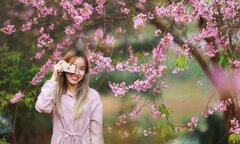 Ngắm mai anh đào nở rộ giữa mùa hè Đà Lạt