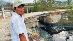 Bình Định: Sơ chế mực xà 'nhuộm đen' dòng nước, dân vật vã ngửi mùi thum thủm