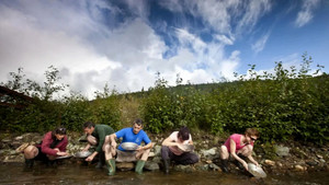 Dòng sông nhiều vàng cho du khách tự do tìm kiếm