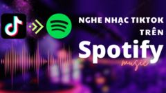 Cách lưu bài hát TikTok vào Spotify