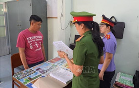 Bắt tạm giam người lái tàu du lịch đâm vào phà chở khách trên sông Tiền