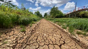 Kênh rạch cạn trơ đáy, người dân Đất Mũi 'khát' nước