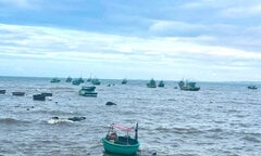 Ngư dân Quảng Ngãi mất tích khi đang đánh bắt ở Trường Sa