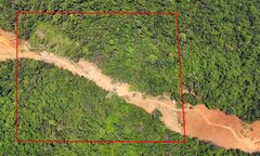 Cận cảnh 12,63 ha rừng tự nhiên tại Bình Định làm chậm tiến độ cao tốc Bắc Nam