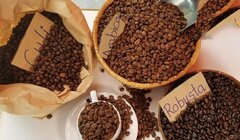 Vì sao giá cà phê tăng điên cuồng, cao nhất lịch sử?