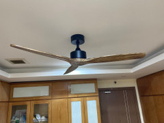 Vì sao cánh quạt thường là số lẻ?