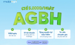 Bảo hiểm cho cây trồng - xu hướng mới giúp số hóa nông nghiệp