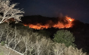 Cháy rừng ở An Giang, có cả tiếng nổ lớn