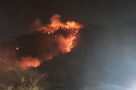 Thủ tướng yêu cầu tăng cường các biện pháp cấp bách phòng cháy, chữa cháy rừng