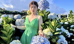 Mê mẩn cánh đồng hoa cẩm tú cầu rộng 3.000 m2 ở Đà Lạt đẹp như cổ tích
