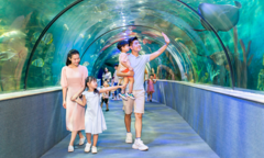 Những địa điểm chơi trong ngày gần Hà Nội của trẻ em