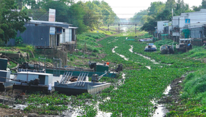 Kênh, rạch cạn khô, đường nứt toác giữa tâm vùng hạn mặn Cà Mau