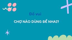 Chợ nào dùng để nhai?